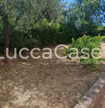 Foto annuncio 78
