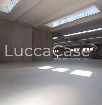 Foto annuncio 11