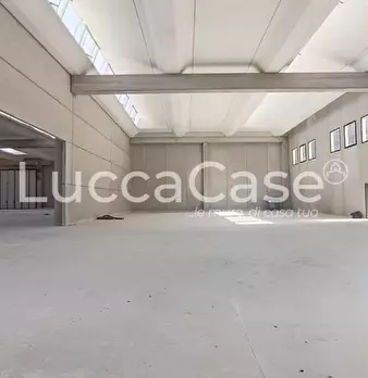 Foto annuncio 8