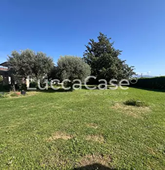 Foto annuncio 34