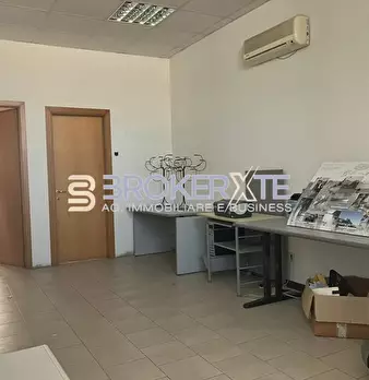Foto annuncio 12