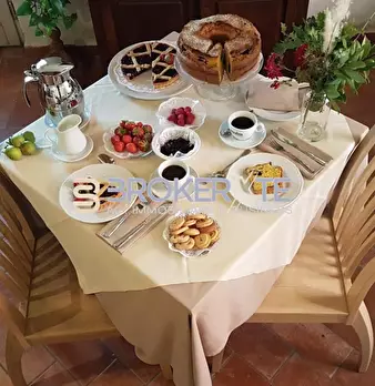Foto annuncio 15