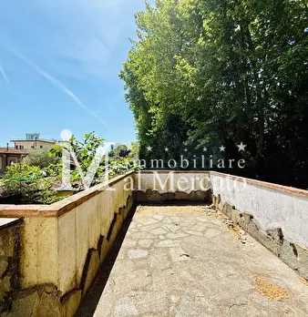 Foto annuncio 42