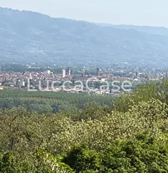 Foto annuncio 14