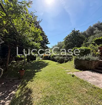 Foto annuncio 38