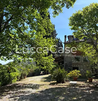 Foto annuncio 34