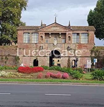 Foto annuncio 12