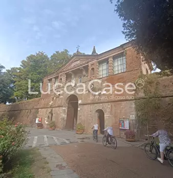 Foto annuncio 15