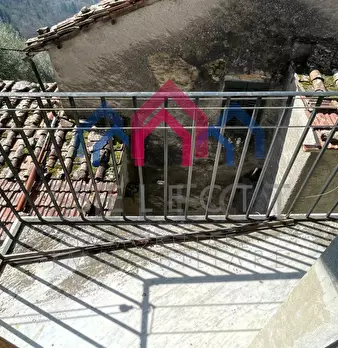 Foto annuncio 31