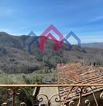 Foto annuncio 47