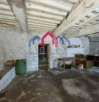 Foto annuncio 56