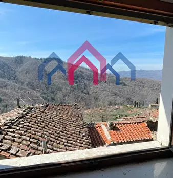 Foto annuncio 44