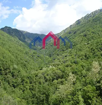 Foto annuncio 30