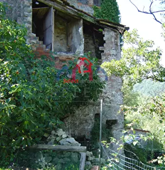 Foto annuncio 11