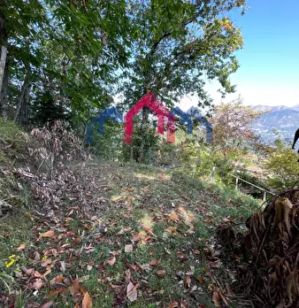 Foto annuncio 32