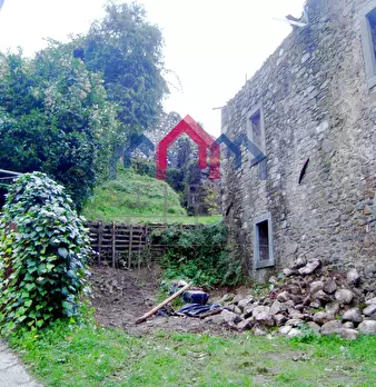 Foto annuncio 39