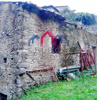 Foto annuncio 38