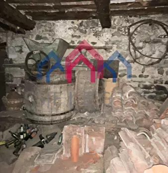 Foto annuncio 61