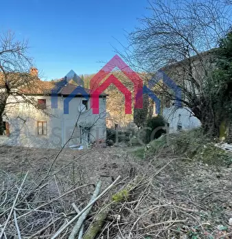 Foto annuncio 74