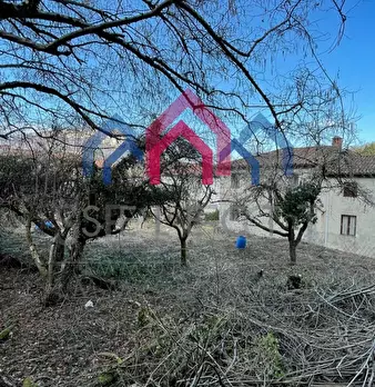 Foto annuncio 15