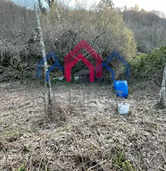 Foto annuncio 23