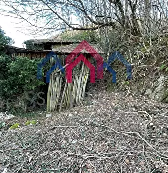 Foto annuncio 73