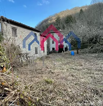Foto annuncio 25