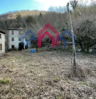 Foto annuncio 24