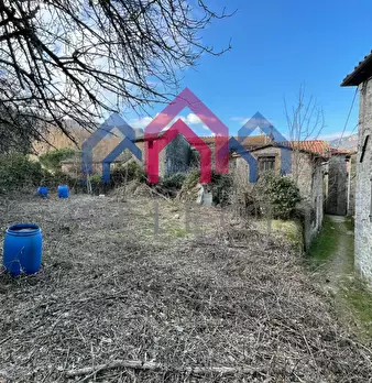 Foto annuncio 19