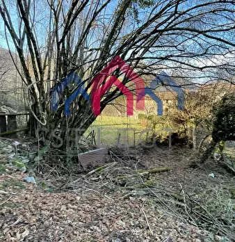 Foto annuncio 71