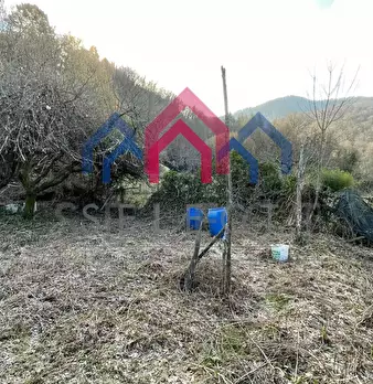 Foto annuncio 29