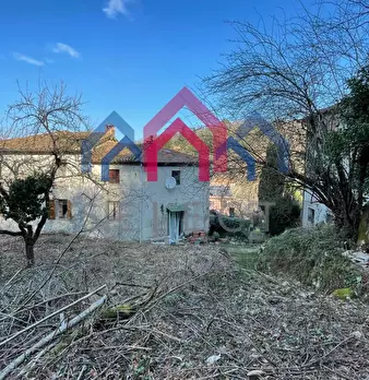 Foto annuncio 68