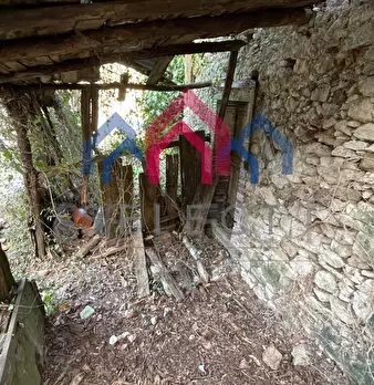 Foto annuncio 65