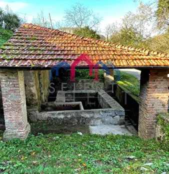 Foto annuncio 77