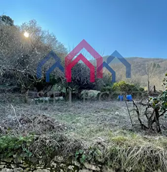 Foto annuncio 56