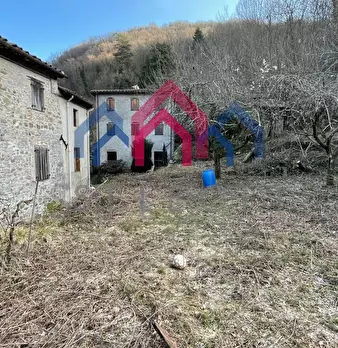 Foto annuncio 28