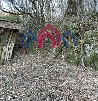 Foto annuncio 72