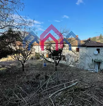 Foto annuncio 69