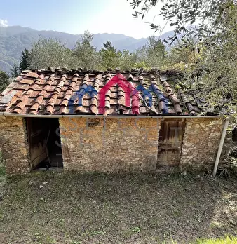 Foto annuncio 35