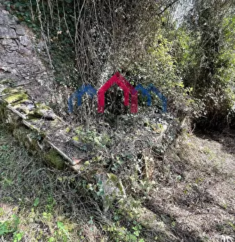 Foto annuncio 23