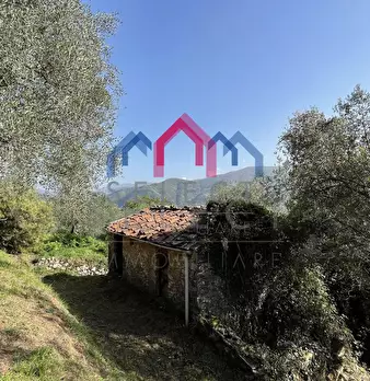 Foto annuncio 31