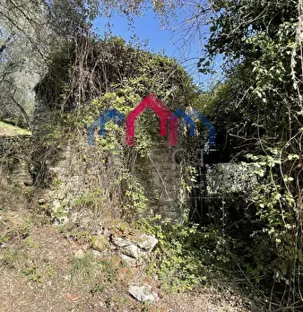Foto annuncio 24