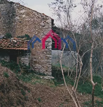 Foto annuncio 52