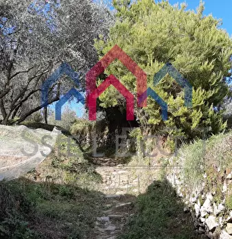 Foto annuncio 51