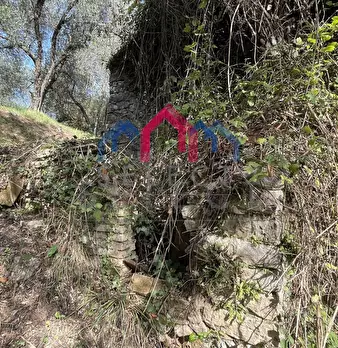 Foto annuncio 27