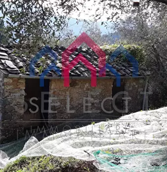 Foto annuncio 39