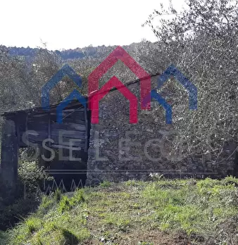 Foto annuncio 40
