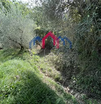 Foto annuncio 11