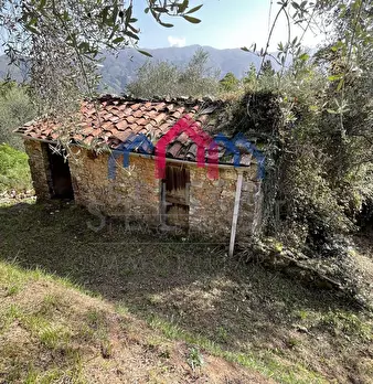 Foto annuncio 32