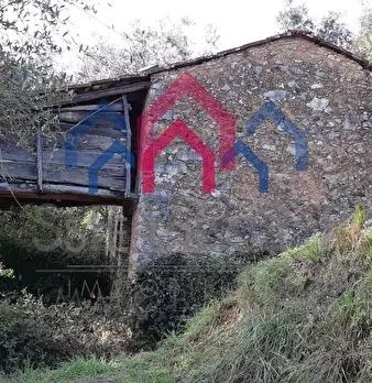 Foto annuncio 47